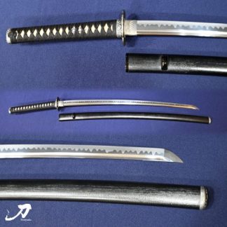 Newly Forged Sword | Kanetoki / 74.0cm